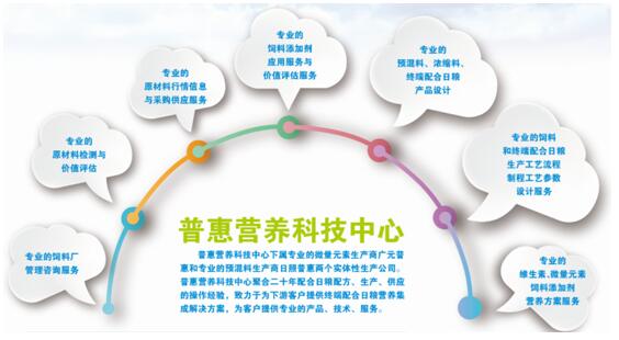 贝斯特 - 全球最奢华的游戏平台