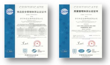 贝斯特 - 全球最奢华的游戏平台