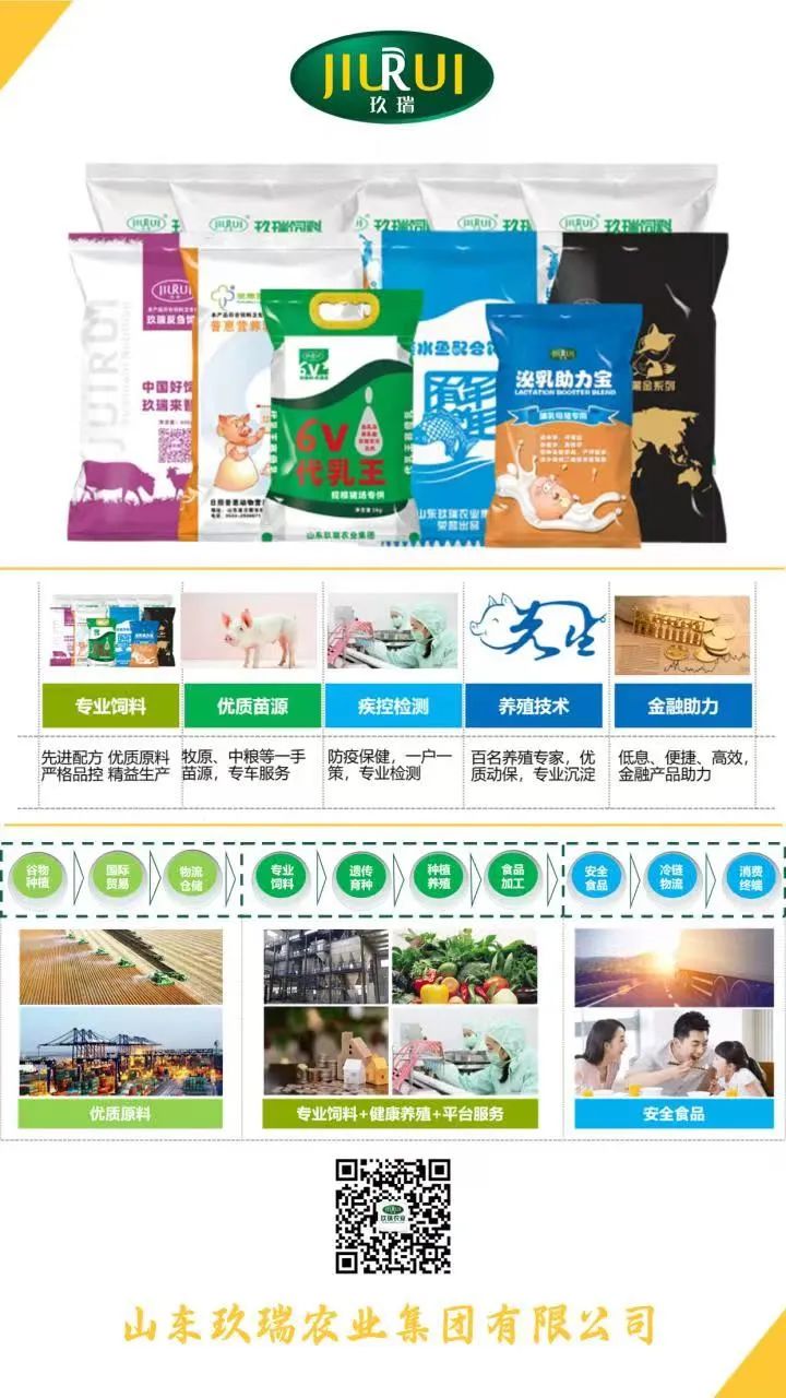 3-2305120U144W3 贝斯特 - 全球最奢华的游戏平台